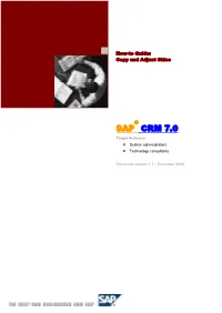 How-To Guide: Copy and Adjust Skins (SAP CRM 7.0).Pdf