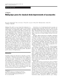 Mating-Type Genes for Classical Strain Improvements of Ascomycetes