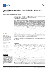 Optical Microscopy and the Extracellular Matrix Structure: a Review