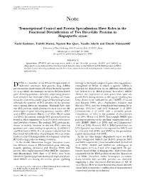 Transcriptional Control and Protein Specialization Have Roles in the Functional Diversification of Two Dicer-Like Proteins in Ma