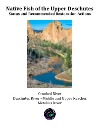 Upper Deschutes River Report