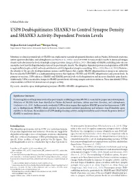 USP8 Deubiquitinates SHANK3 to Control Synapse Density and SHANK3 Activity-Dependent Protein Levels