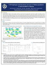 Y-STR Haplotypes and the Genetic Structure of Pathan Populations in FATA and NWFP of Pakistan