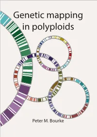 Genetic Mapping in Polyploids Genetic Genetic Mapping in Polyploids Genetic