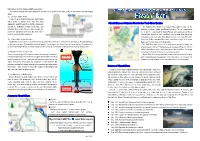 Measures for Environmental Preservation Access to Hiyoshi