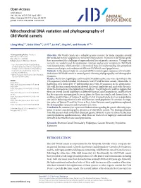 Mitochondrial DNA Variation and Phylogeography of Old World Camels