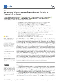 Kynurenine Monooxygenase Expression and Activity in Human Astrocytomas