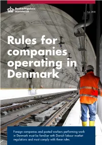 Rules for Companies Operating in Denmark