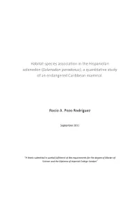 Solenodon Paradoxus); a Quantitative Study of an Endangered Caribbean Mammal
