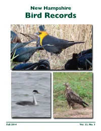 NH Bird Records