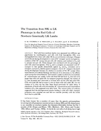 The Transition from HK to LK Phenotype in the Red Cells of Newborn Genetically LK Lambs