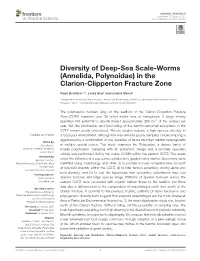 Diversity of Deep-Sea Scale-Worms (Annelida, Polynoidae) in the Clarion-Clipperton Fracture Zone