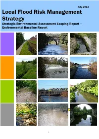 Environmental Baseline Report PDF 642 KB