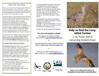 Help Us Find the Long- Billed Curlew