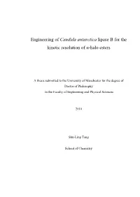 Enzymatic Resolution of Α-Haloacids and Esters and Their Use in The