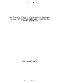 INACTIVATION of POLYPHENOL OXIDASE in Camellia Sinensis for the PRODUCTION of HIGH QUALITY INSTANT GREEN TEA