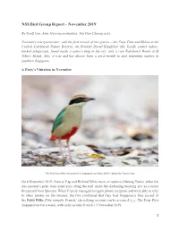 NSS Bird Group Report – November 2019