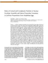 Roles of Cytosol and Cytoplasmic Particles in Nuclear Envelope Assembly and Sperm Pronuclear Formation in Cell-Free Preparations from Amphibian Eggs