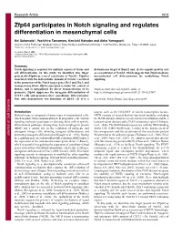 Zfp64 Participates in Notch Signaling and Regulates Differentiation in Mesenchymal Cells