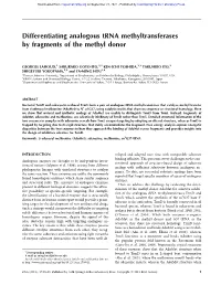 Differentiating Analogous Trna Methyltransferases by Fragments of the Methyl Donor