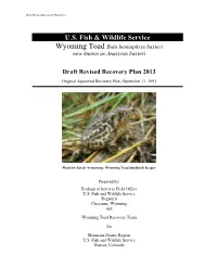 Draft Revised Recovery Plan 2013