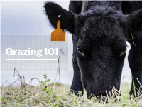 Grazing 101 Ebook