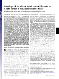 Homologs of Vertebrate Opn3 Potentially Serve As a Light Sensor in Nonphotoreceptive Tissue