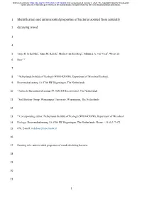Identification and Antimicrobial Properties of Bacteria Isolated from Naturally Decaying Wood