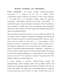 PROTEIN SYNTHESIS and PROCESSING Protein Biosynthesis