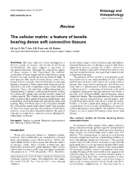 Review the Cellular Matrix: a Feature of Tensile Bearing Dense Soft