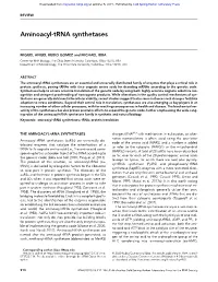 Aminoacyl-Trna Synthetases