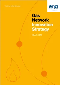 Gas Network Innovation Strategy 2018