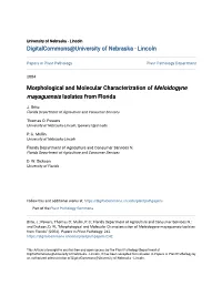 Morphological and Molecular Characterization of &lt;I&gt;Meloidogyne