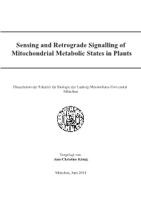 Sensing and Retrograde Signalling of Mitochondrial Metabolic States in Plants