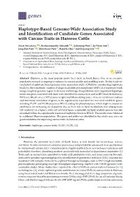 Haplotype-Based Genome-Wide Association Study and Identification of Candidate Genes Associated with Carcass Traits in Hanwoo