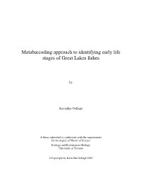 Metabarcoding Approach to Identifying Early Life Stages of Great Lakes Fishes