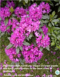 Rhododendron Ponticum: Impact on Lower Plants and Fungi Communities on the West Coast of Scotland