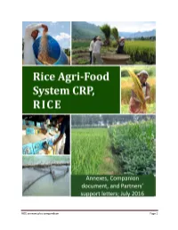 RICE Phase II Annexes