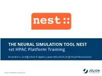 Simulator NEST