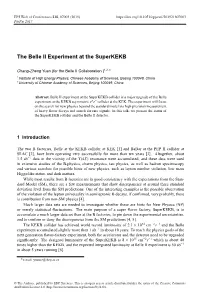 The Belle II Experiment at the Superkekb