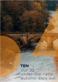 Autumn Day out Guide