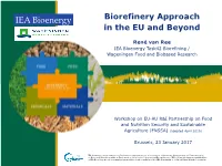 Biorefinery Approach in the EU and Beyond