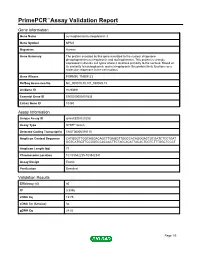 Primepcr™Assay Validation Report