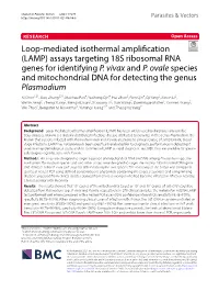 Assays Targeting 18S Ribosomal RNA Genes for Identifying P. Vivax and P