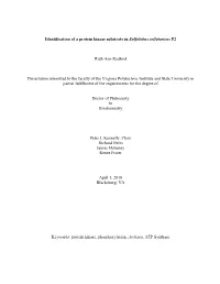 Redbird RA D 2010.Pdf (4.946Mb)