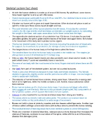 Skeletal System Fact Sheet