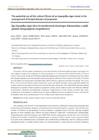 The Potential Use of the Culture Filtrate of an Aspergillus Niger Strain in the Management of Fungal Diseases of Grapevine Egy A