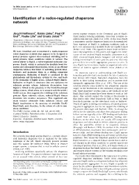 Identification of a Redoxregulated Chaperone Network