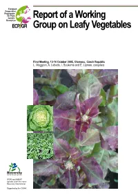 Report of a Working Group on Leafy Vegetables: First Meeting
