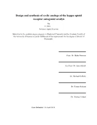 Design and Synthesis of Cyclic Analogs of the Kappa Opioid Receptor Antagonist Arodyn